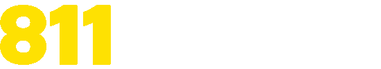Megasync - Betglobal