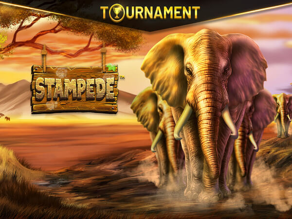 Esportenet.net bet