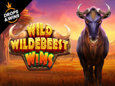 Win1 jogo